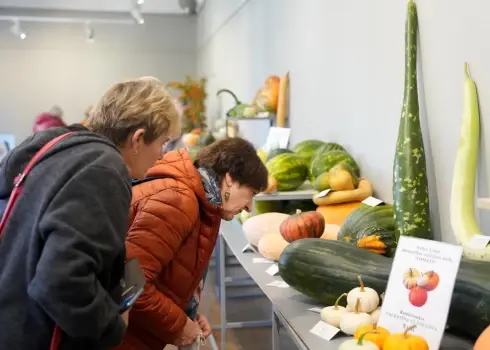 Ražas izstāde „Ķirbjaugi un paprika 2024”