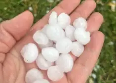 FOTO: Valmieras novadā pārsteidz lielgraudu krusa