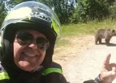 Lācene Rumānijā saplosa itāļu motociklistu pie zīmes "nebarot lāčus". Viņš fotografēja lāceni ar lācēniem uzbrukuma brīdī