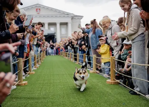 Ceturtais Korgiju skrējiens Viļņā (2025. gada augusts)