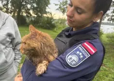 VIDEO: kā neraudāt, šo redzot? policists upē pamana somu, kas ņaud. Tajā kopā ar akmeņiem iebāzts mazs kaķēns