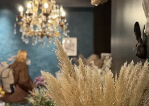 Tur, kur rudens iemājo – Tērbatas ielā zeltainas lapas pārvērš veikalu pasakā