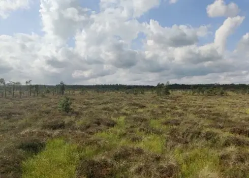 Noskaidroti šī gada aktīvākie “Latvijas meža dēkaiņi”