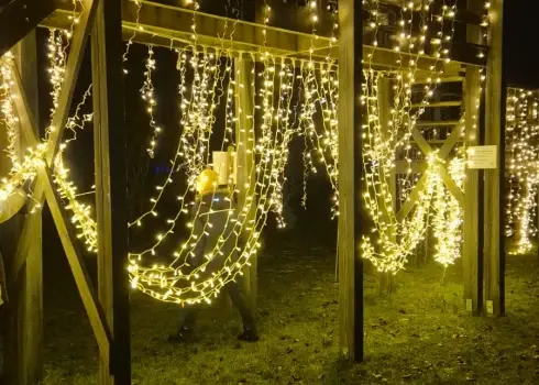 Ziemas brīnums Dobelē — Ceriņu dārzs pārtop gaismas dārzā 