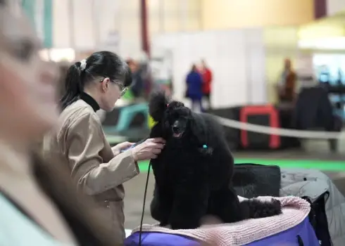 Mājdzīvnieku izstāde “PetExpo 2026”