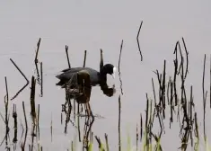 "Kā mums tagad bez tevis? Nu kāpēc?" Māte dalās ar skumju ziņu par Liepājā pazudušo meiteni
