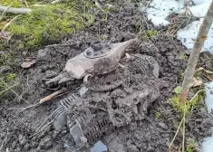 FOTO: kā izskatās drons, kas no Krievijas puses ielidoja Latvijā