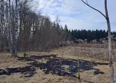 Vai tā uzskatāma par sakritību, ka dažu dienu laikā visās trijās Baltijas valstīs "nejauši" ielidojuši droni?