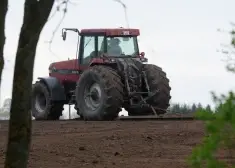 Brīdina par jaunu krāpšanas shēmu sociālajos tīklos