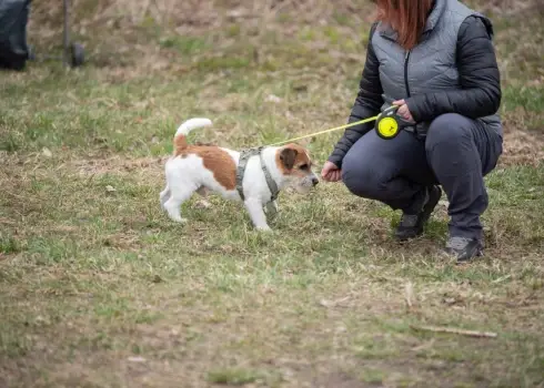 Lielā talka Grāpju pussalā 